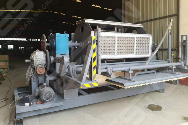Beston Apple Tray Machine For Sale